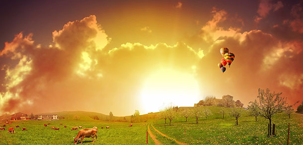 Website Design in Qatar